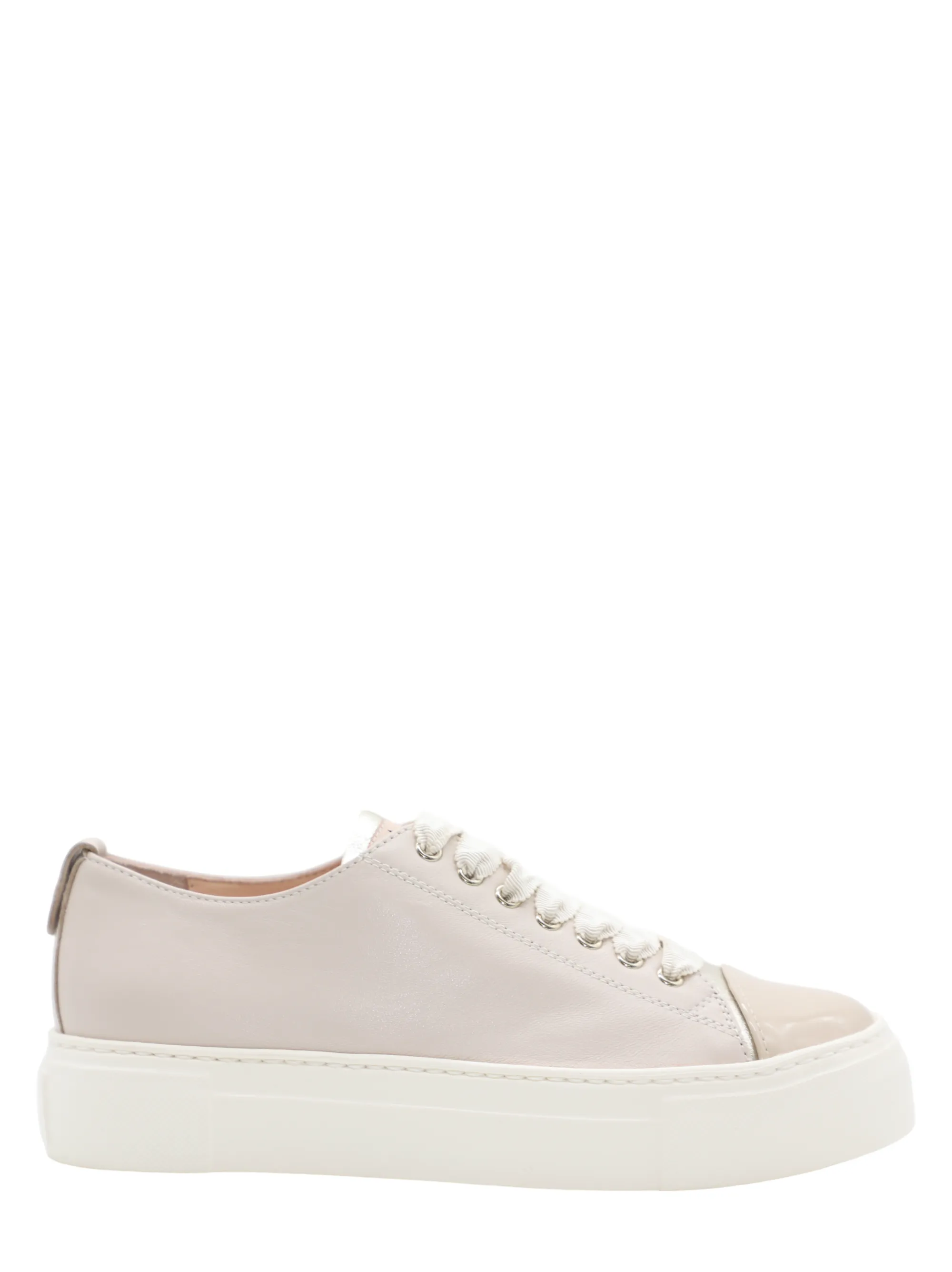 AGL Mollie Cap Toe Sneaker in Talc Suga Sand Milk