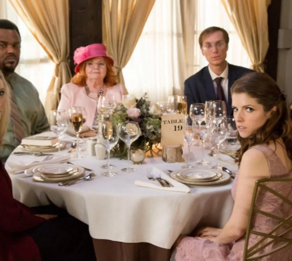Anna Kendrick Dress Short Prom Dress Pink Lace Cocktail Dress Table 19