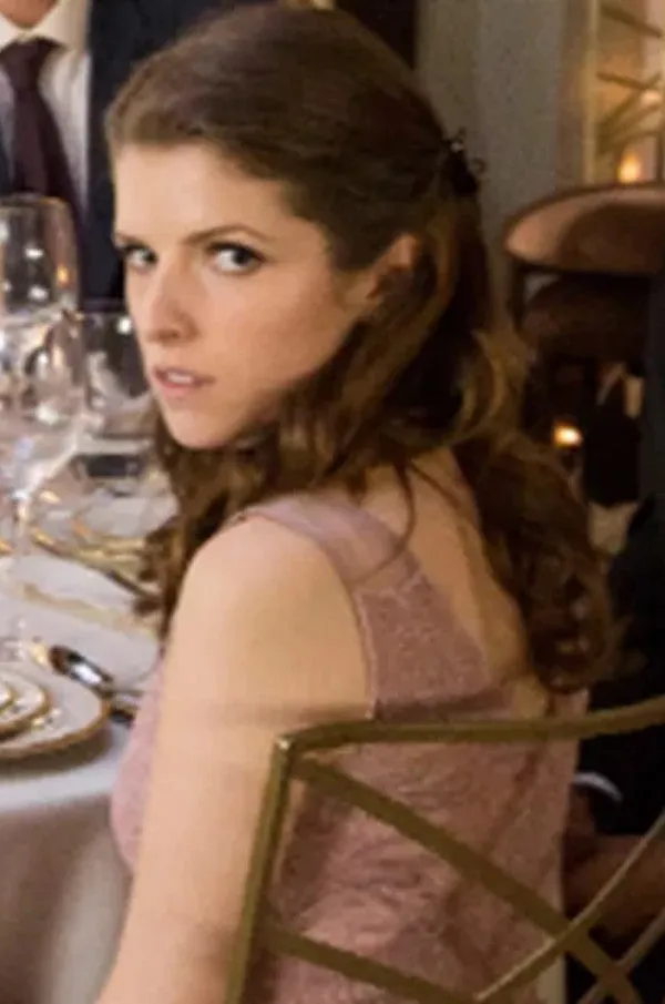 Anna Kendrick Dress Short Prom Dress Pink Lace Cocktail Dress Table 19