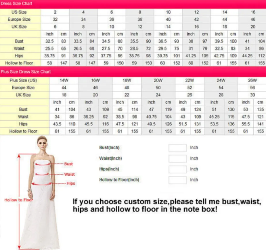 Anneprom Elegant A Line Tulle Short Homecoming Dresses With Gold Appliques APH0053