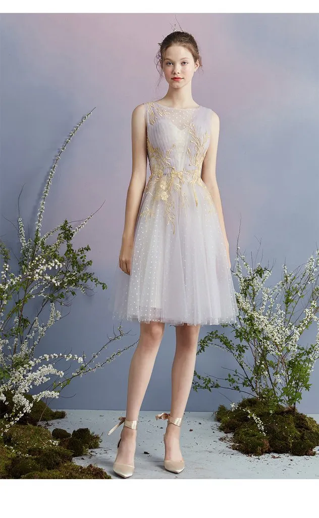 Anneprom Elegant A Line Tulle Short Homecoming Dresses With Gold Appliques APH0053