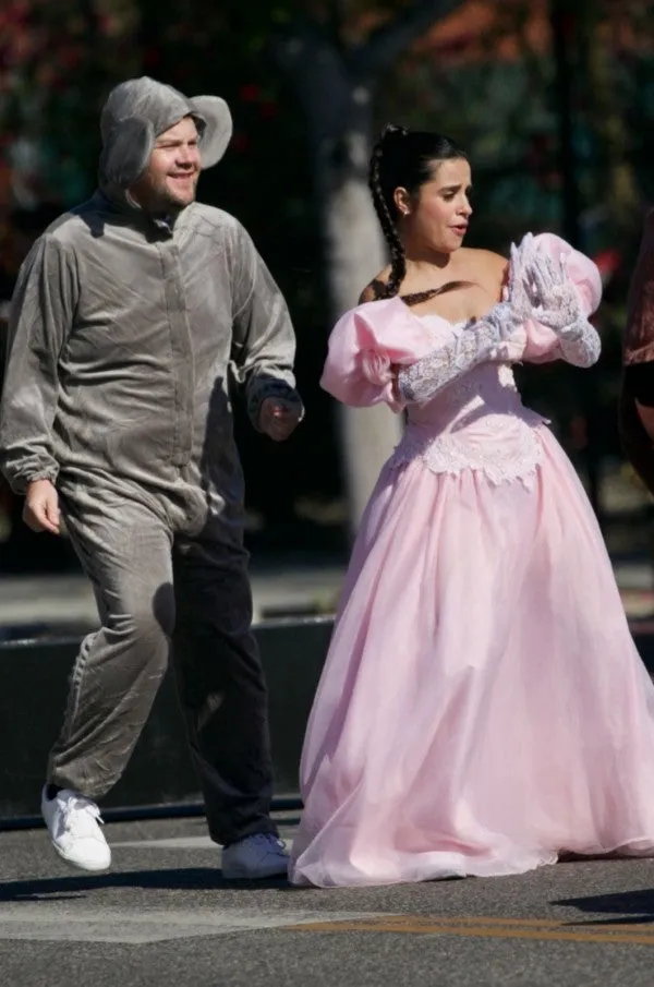 Camila Cabello Pink  Dress  Cinderella Dress Crosswalk Concert with Gloves
