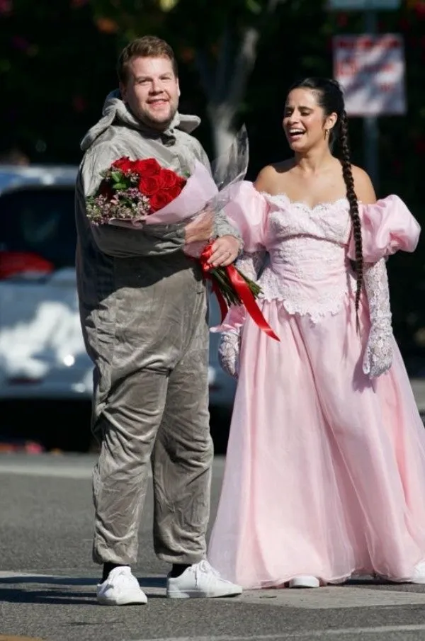 Camila Cabello Pink  Dress  Cinderella Dress Crosswalk Concert with Gloves