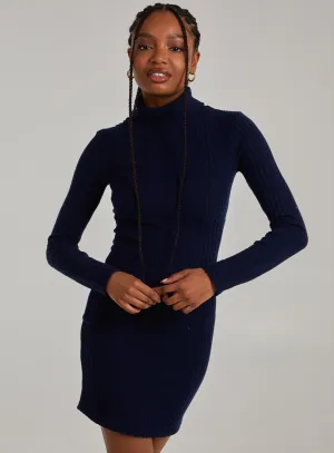 Chunky Brushed Rib Roll Neck Dress