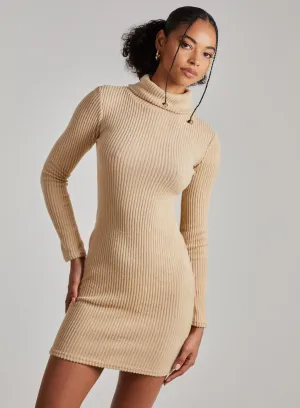 Chunky Brushed Rib Roll Neck Dress