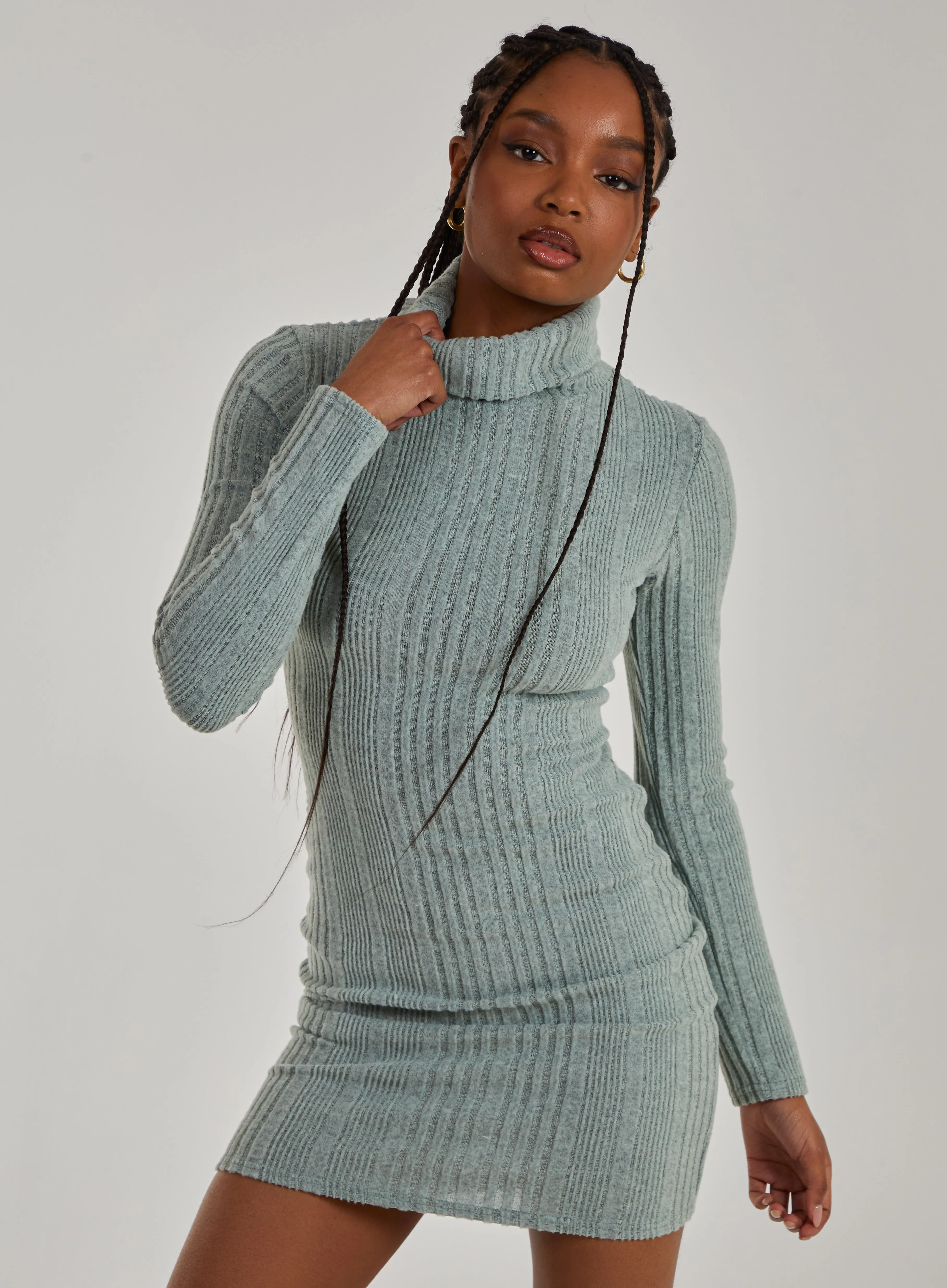 Chunky Brushed Rib Roll Neck Dress