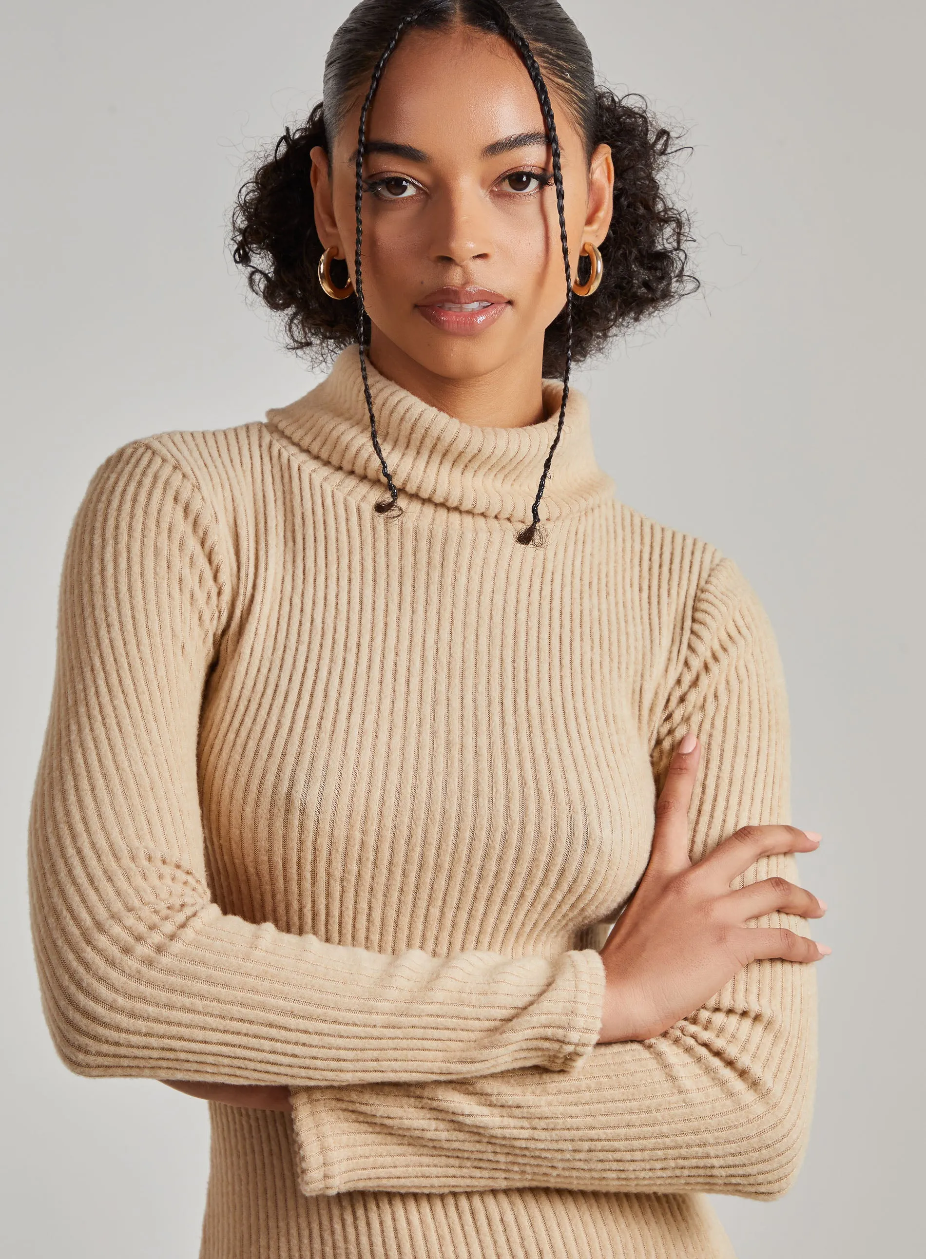 Chunky Brushed Rib Roll Neck Dress