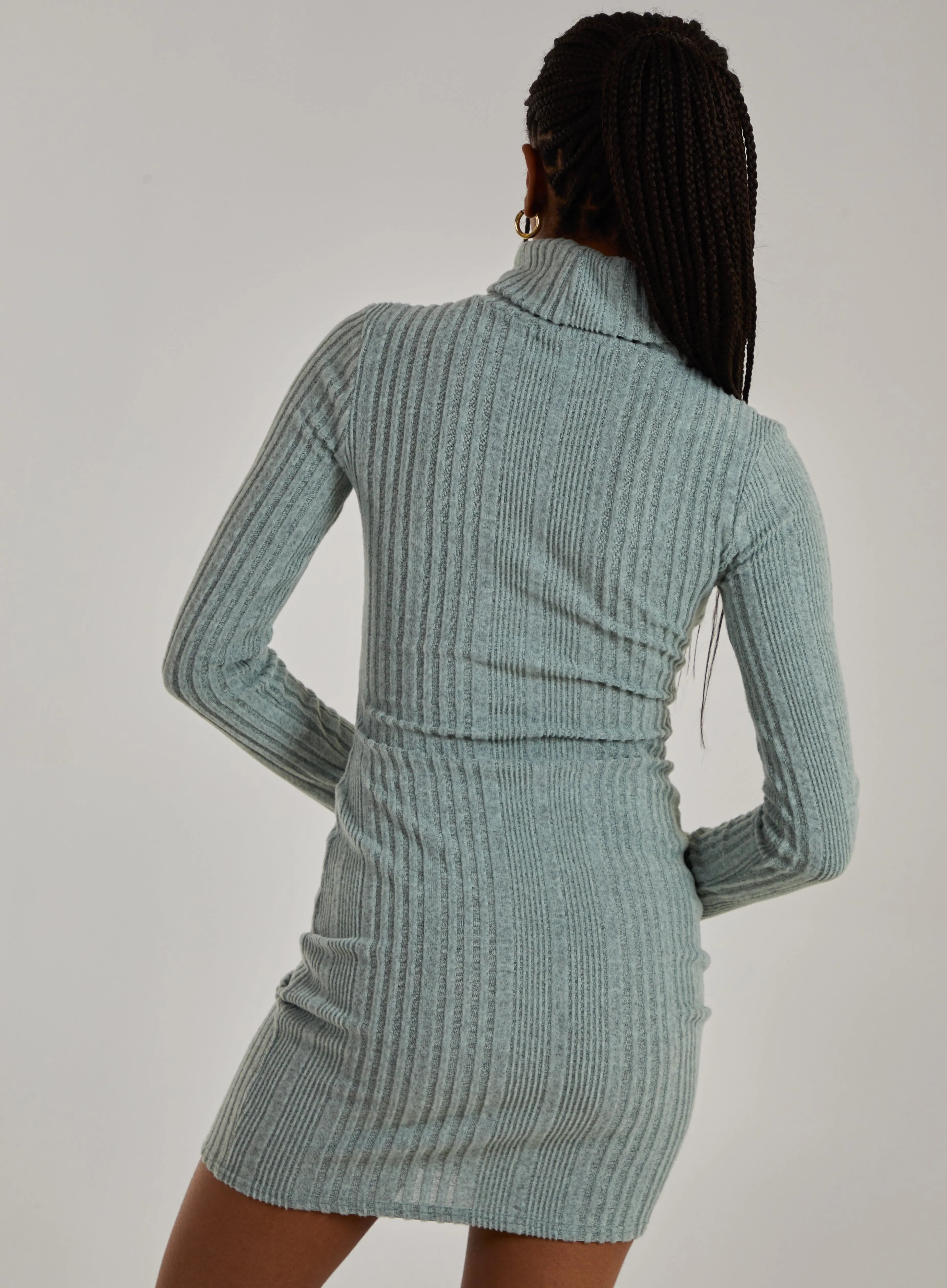 Chunky Brushed Rib Roll Neck Dress