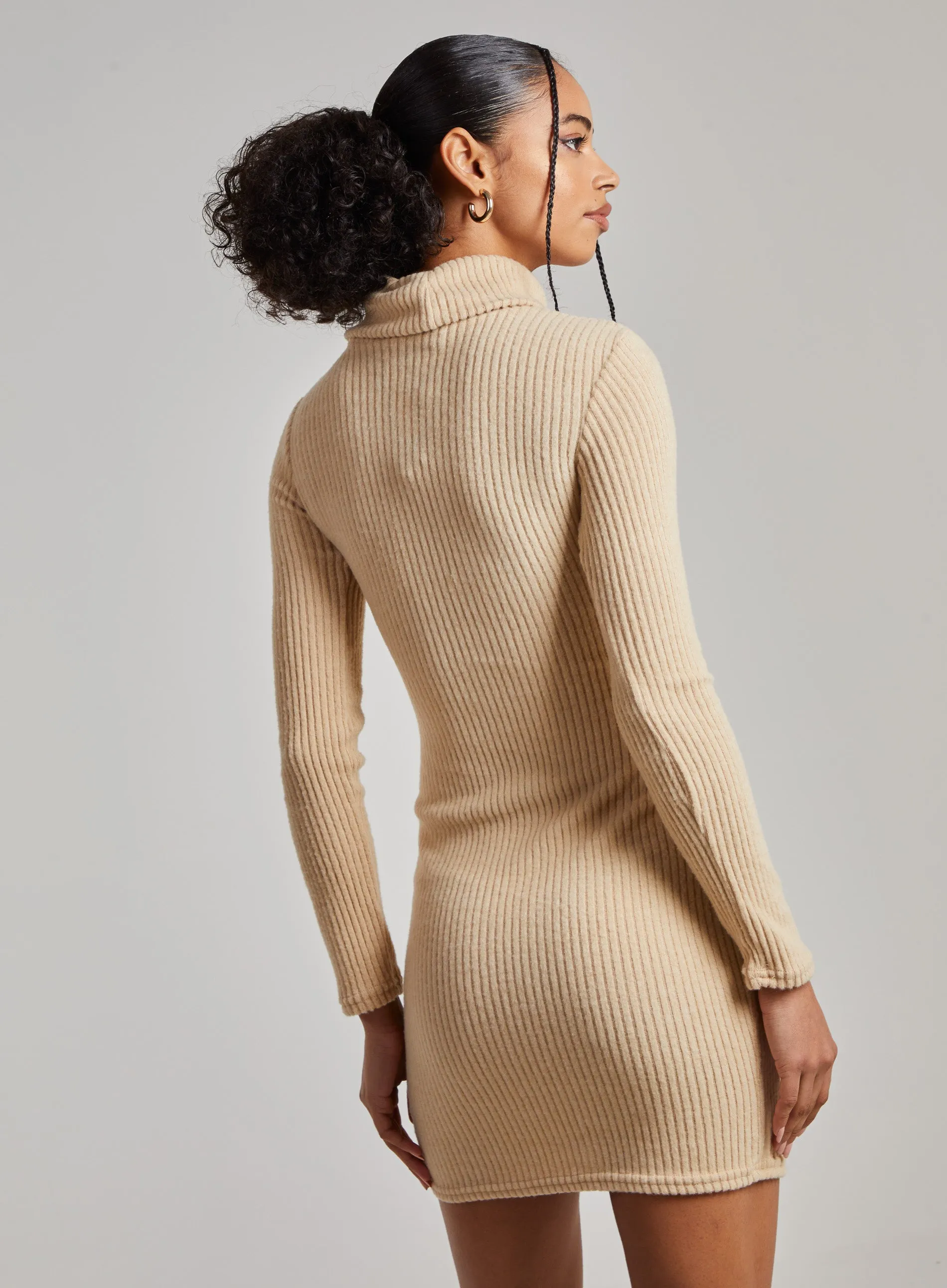 Chunky Brushed Rib Roll Neck Dress