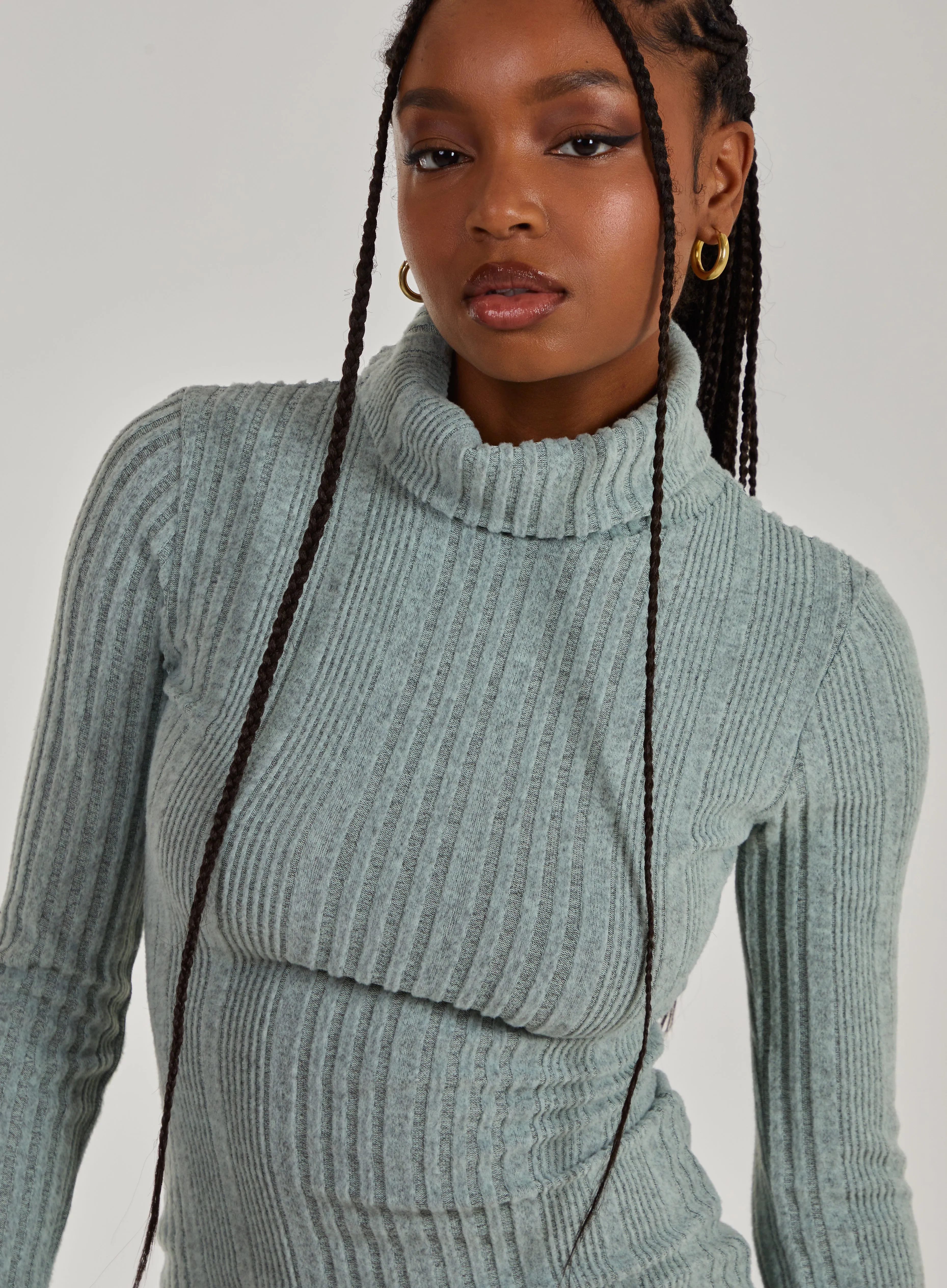 Chunky Brushed Rib Roll Neck Dress