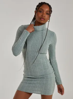 Chunky Brushed Rib Roll Neck Dress