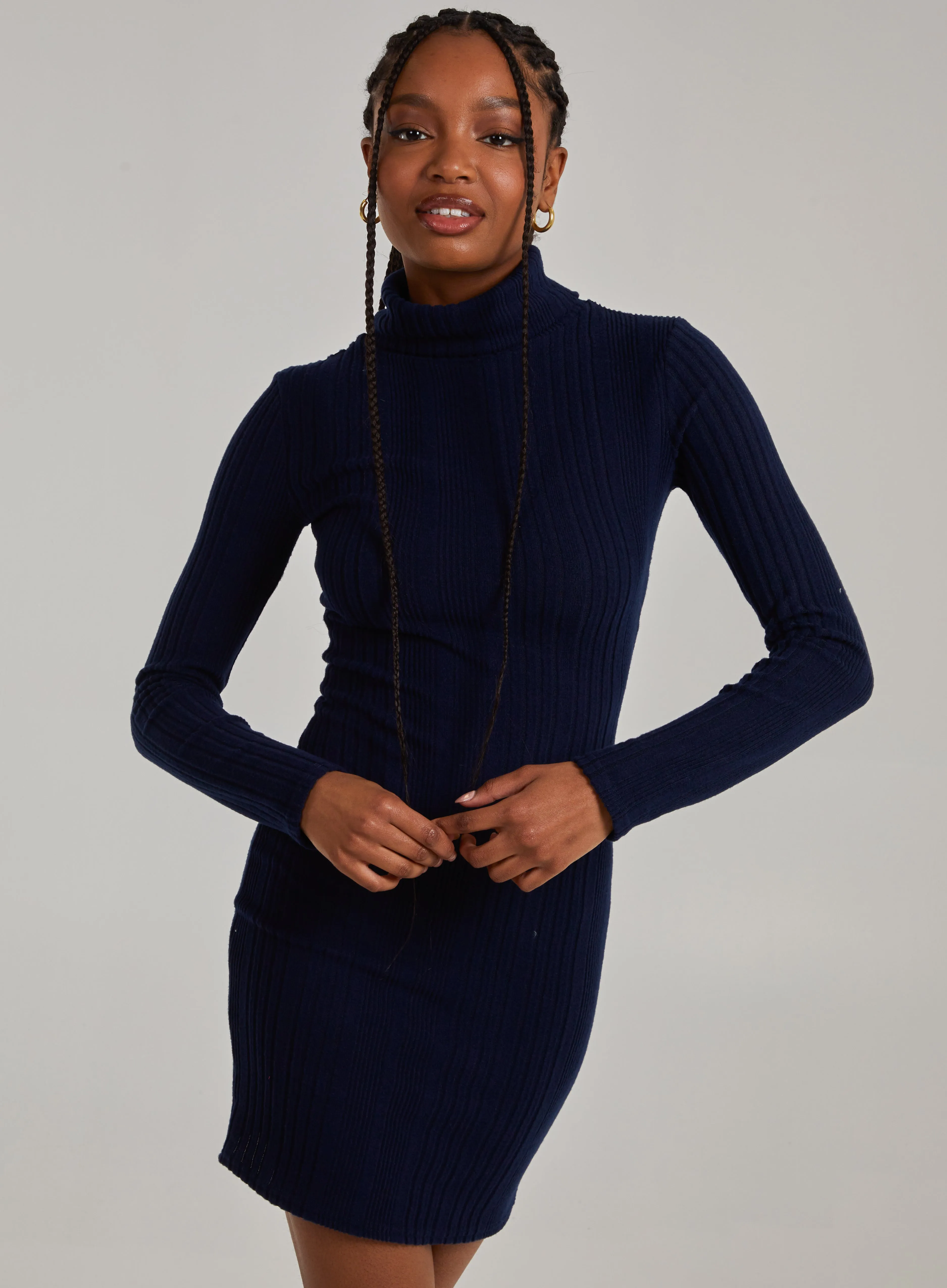 Chunky Brushed Rib Roll Neck Dress