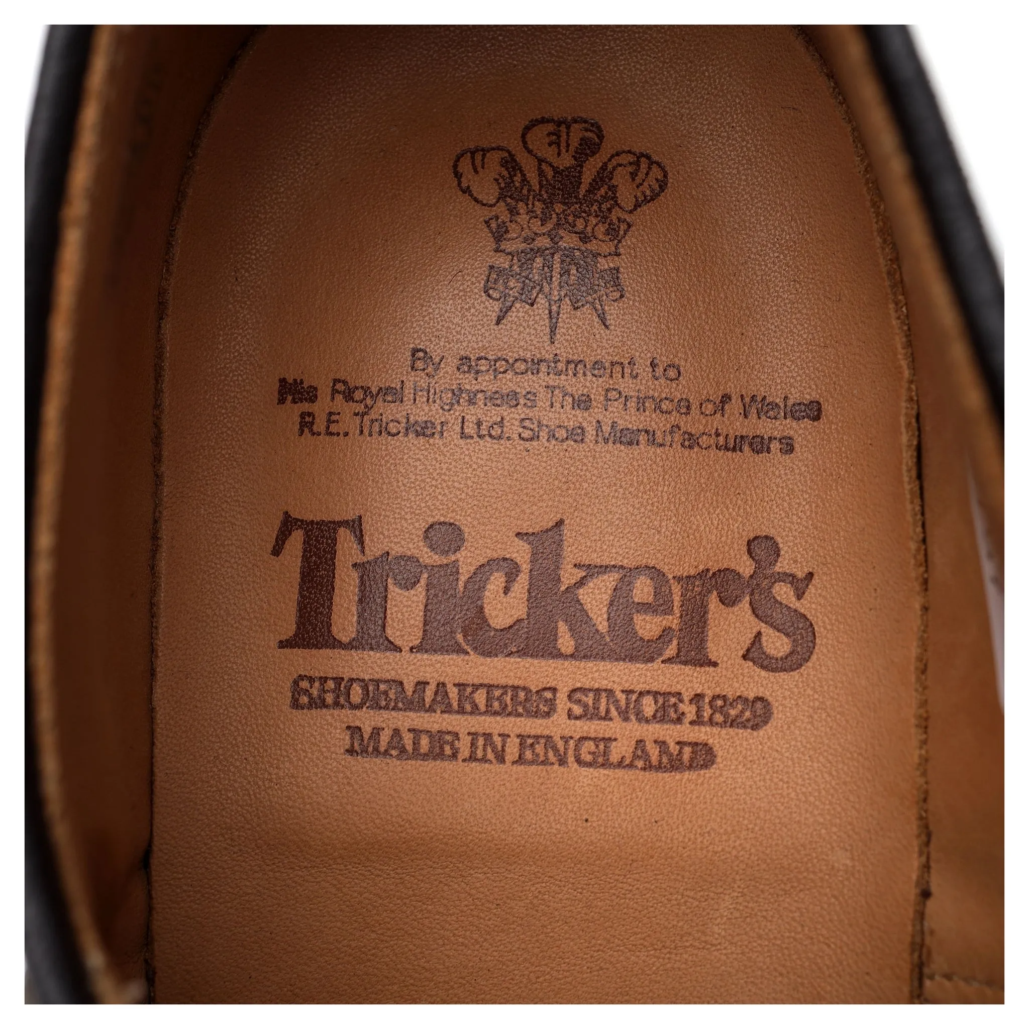 'Daniel' Dark Brown Suede Derby UK 8