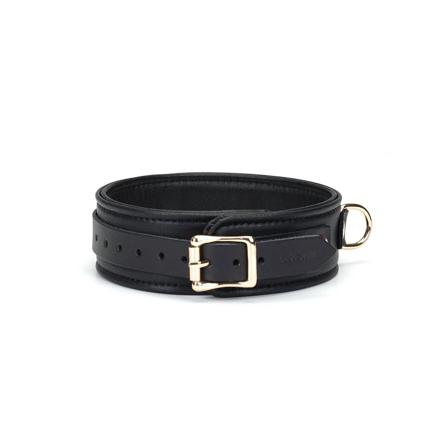 Dark Secret Leather Collar with Leash