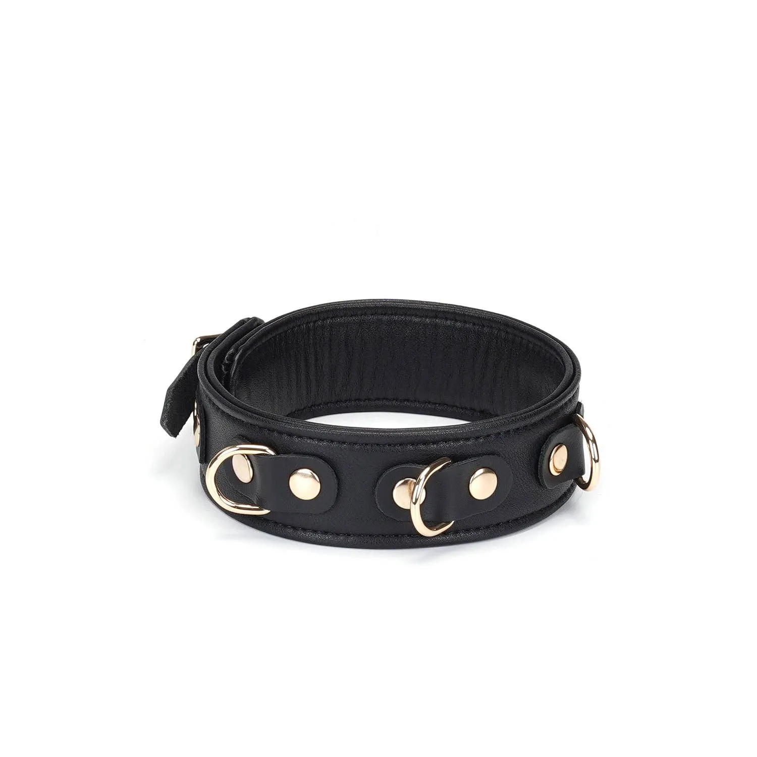 Dark Secret Leather Collar with Leash