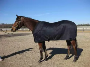 EquSuede Sherpa Fleece Blanket