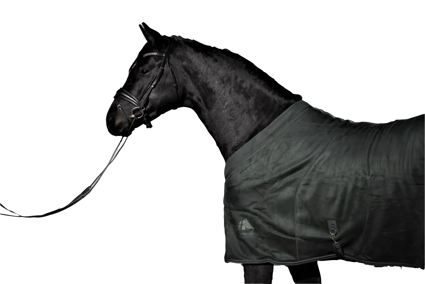 EquSuede Sherpa Fleece Blanket