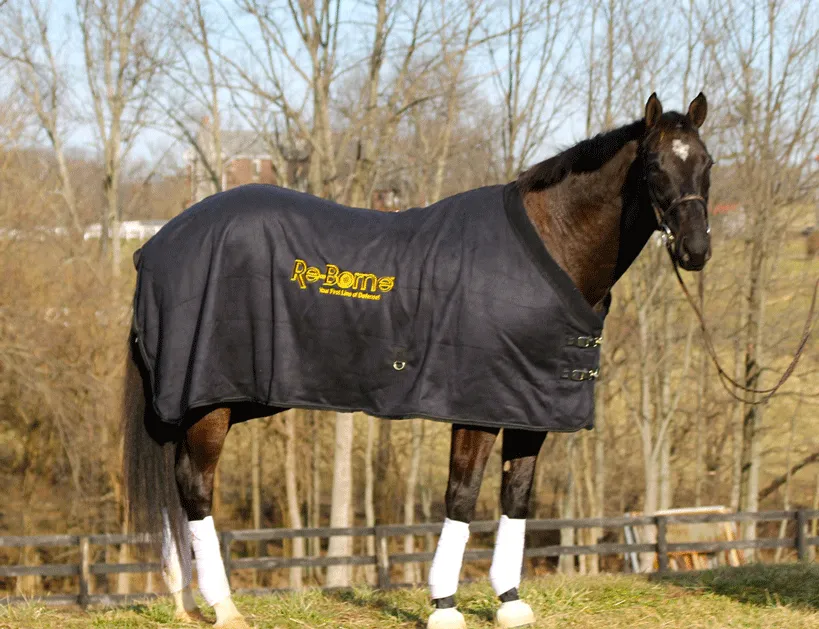 EquSuede Sherpa Fleece Blanket