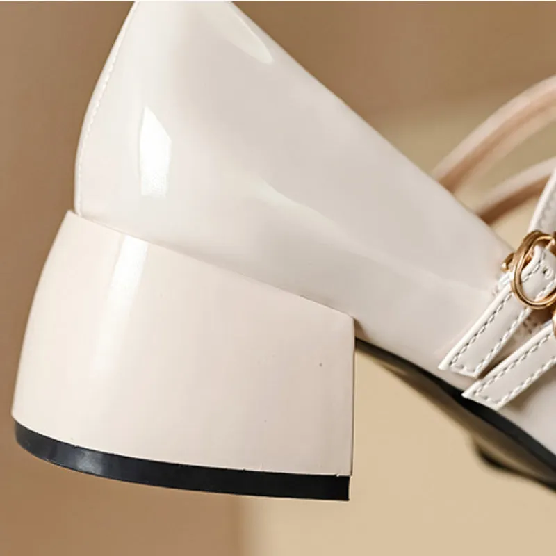 French Mary Jane Shoes Thick Heel Retro Women's Shoes