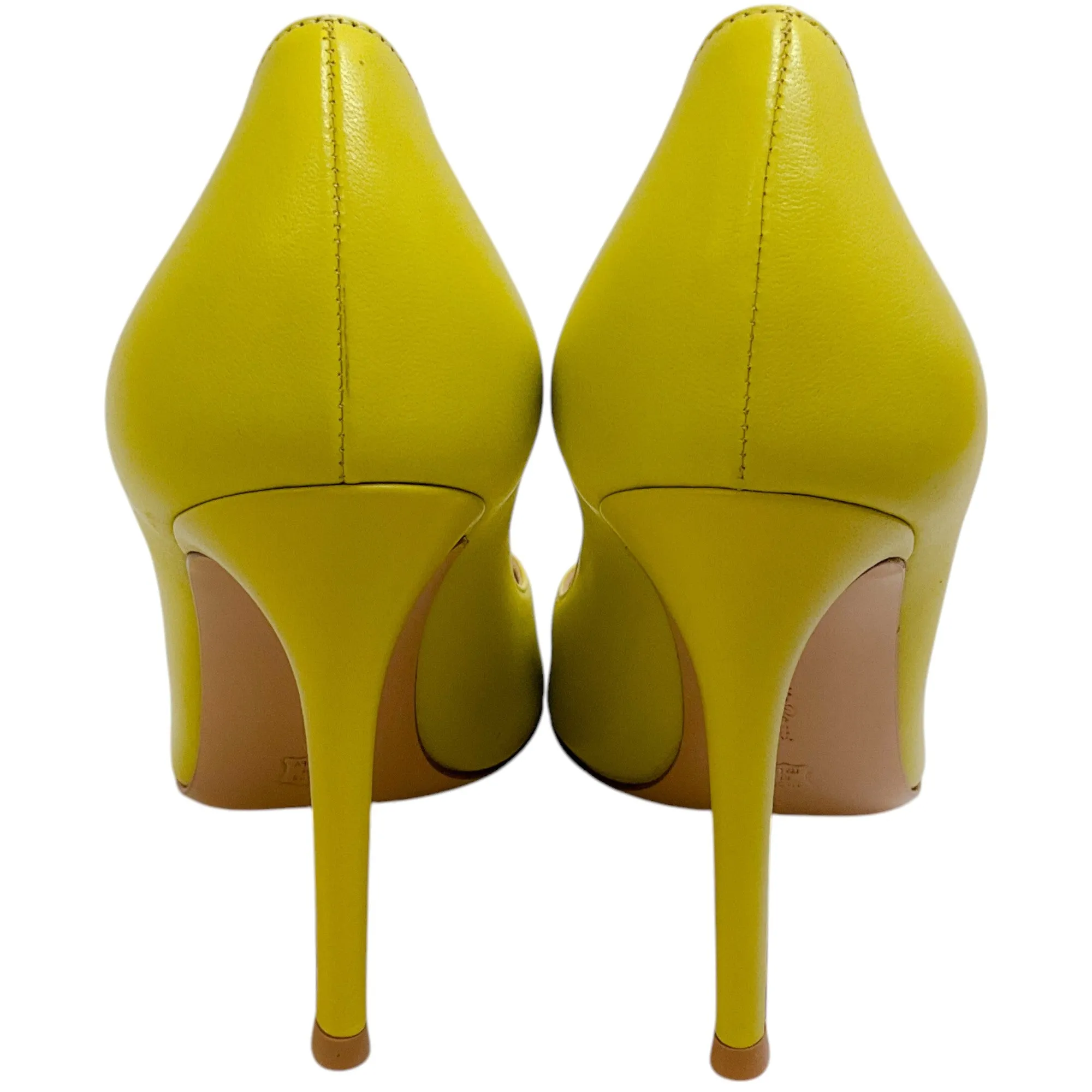 Gianvito Rossi Citron Cider Leather Gianvito 105 Pumps