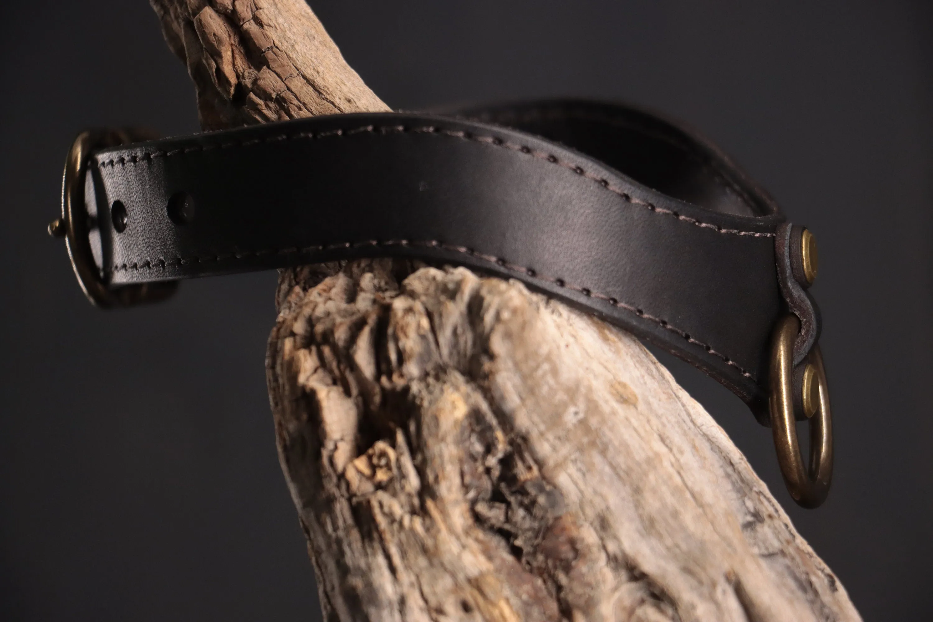 Leather BDSM Collar - Black & Bronze
