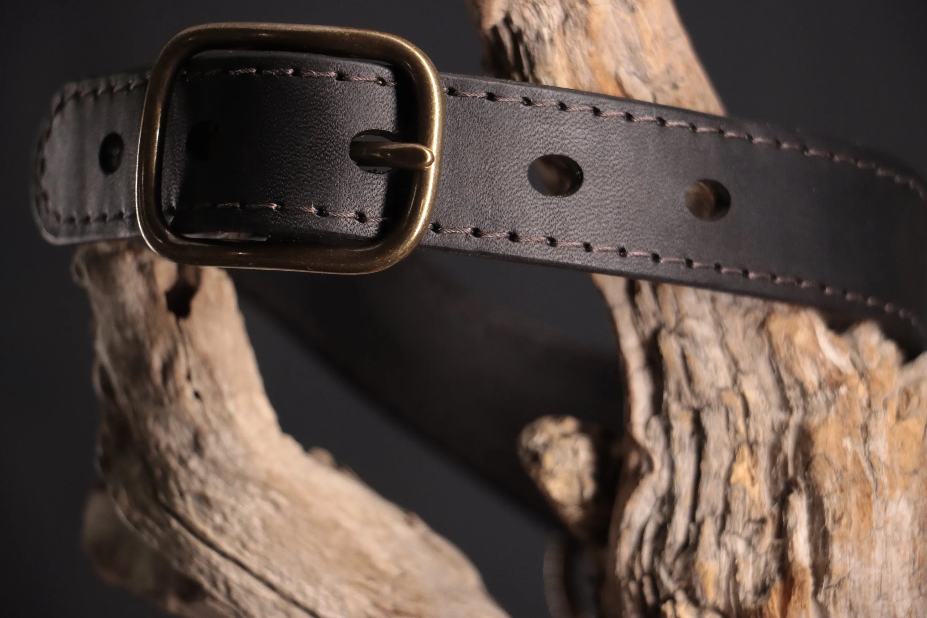 Leather BDSM Collar - Black & Bronze