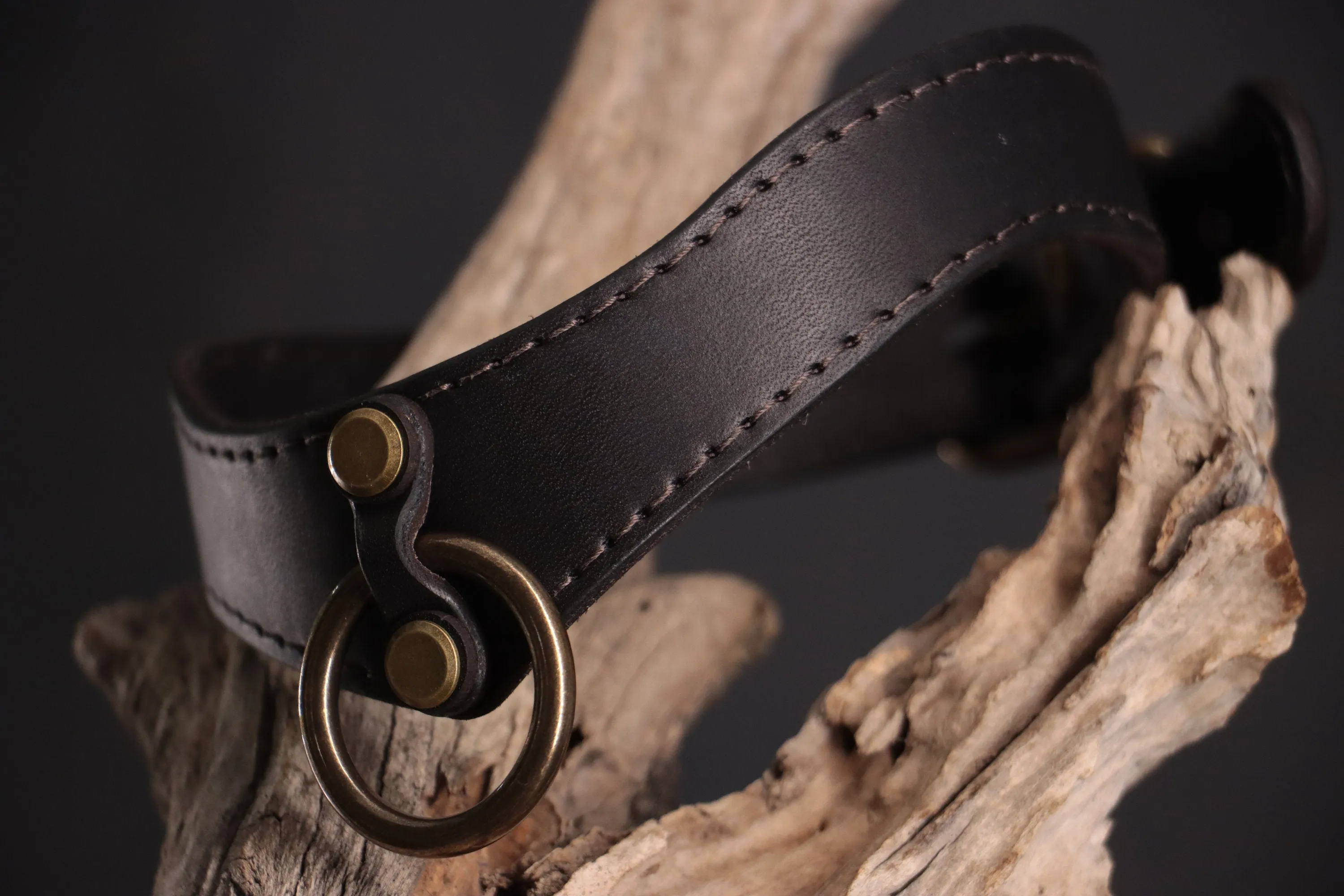 Leather BDSM Collar - Black & Bronze