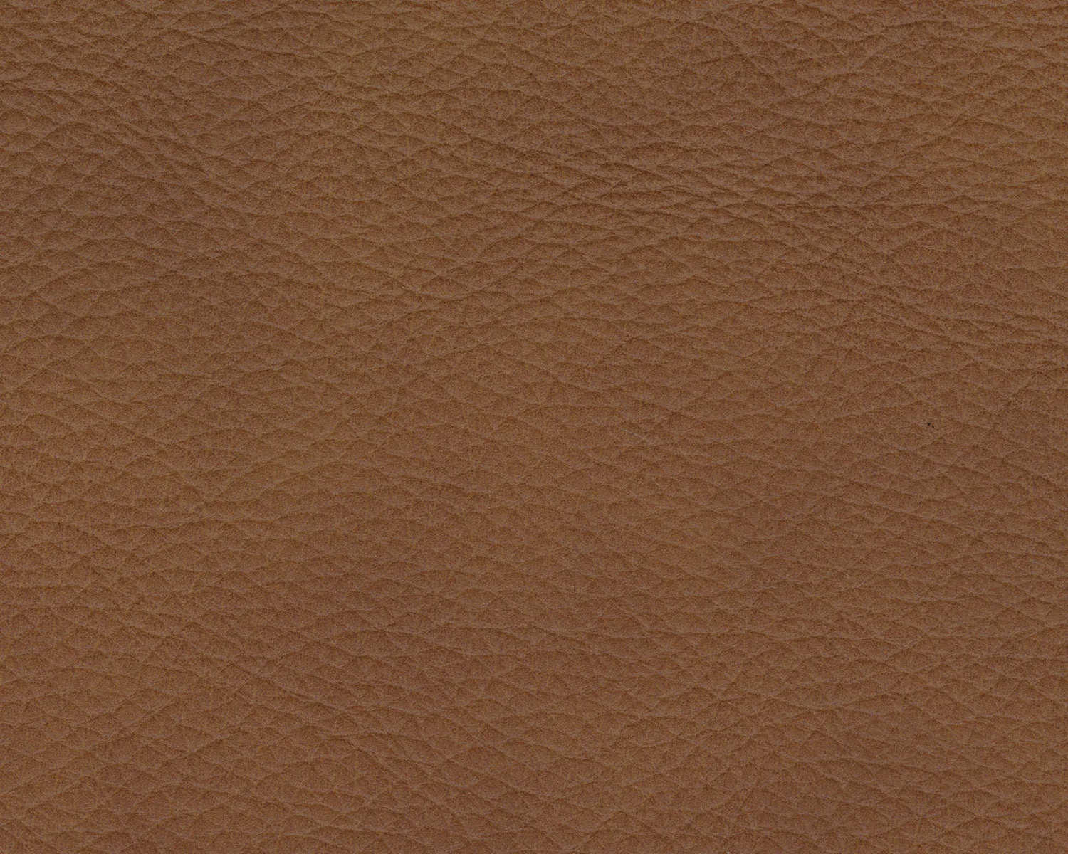 Rylee 3 PC Leather Sofa