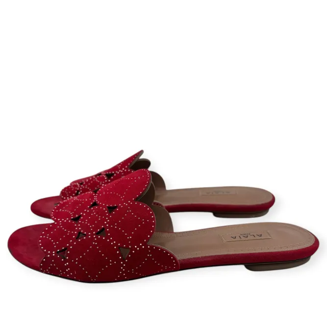 Shoes Slides