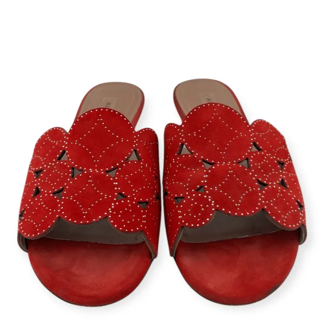 Shoes Slides