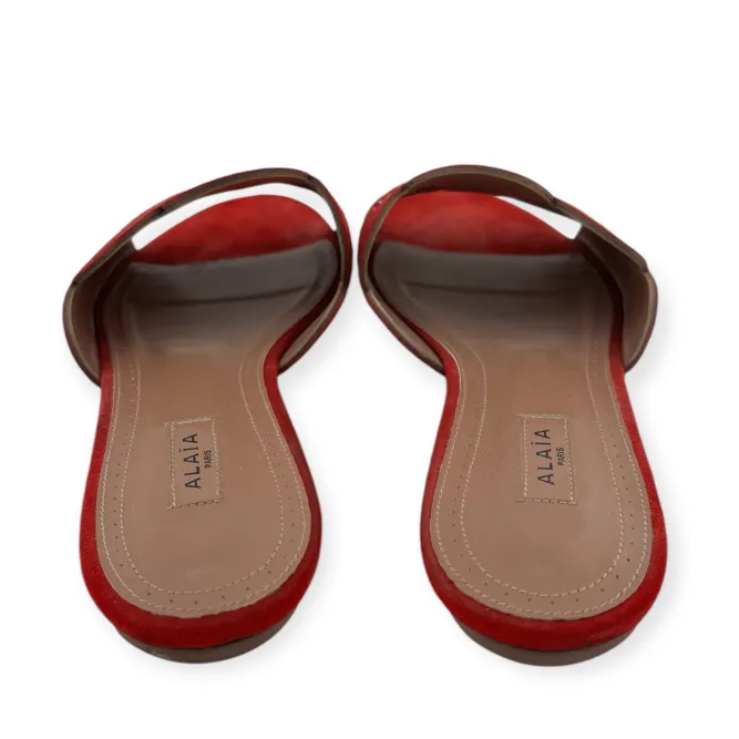 Shoes Slides