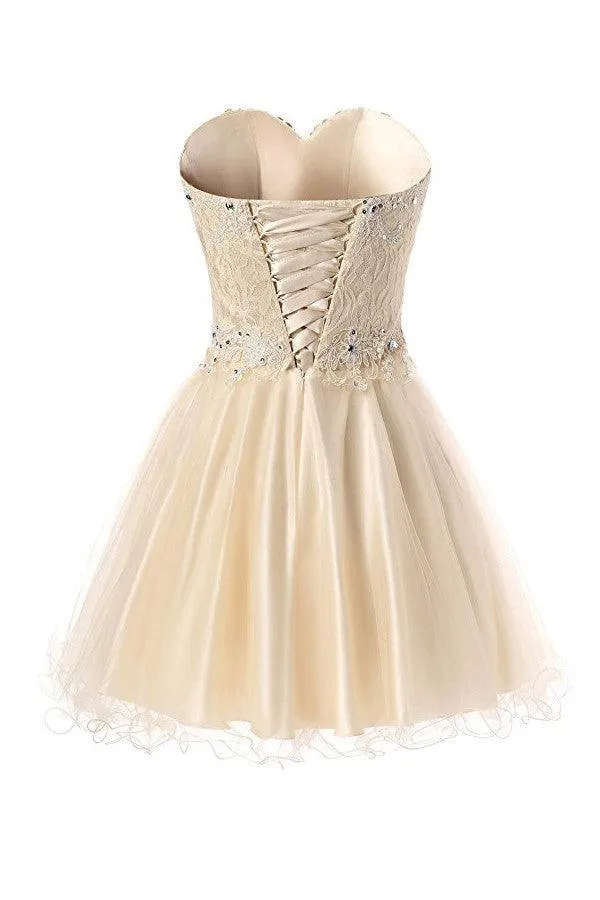 Short Lace Tulle Prom Dresses Homecoming Dresses Party Dresses  TR0010