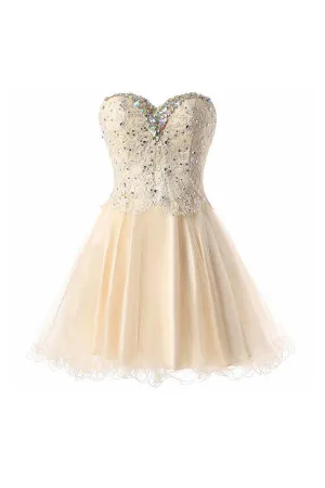 Short Lace Tulle Prom Dresses Homecoming Dresses Party Dresses  TR0010