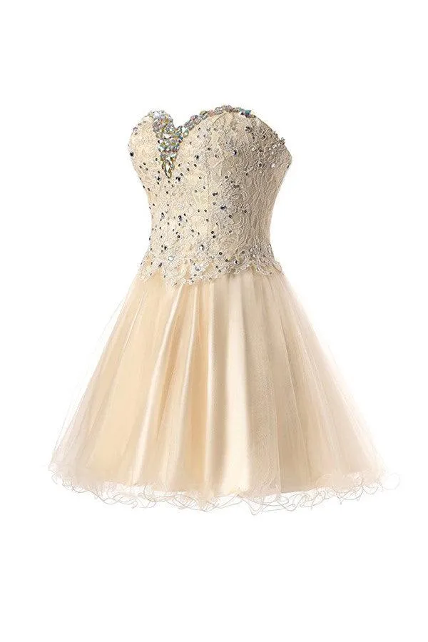 Short Lace Tulle Prom Dresses Homecoming Dresses Party Dresses  TR0010