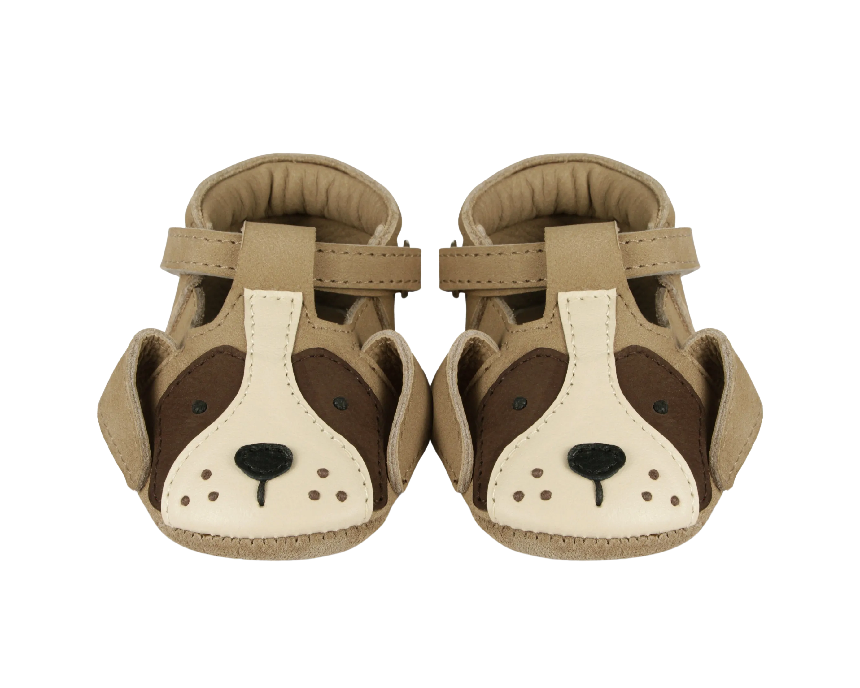 Spark Special| Saint Bernard
