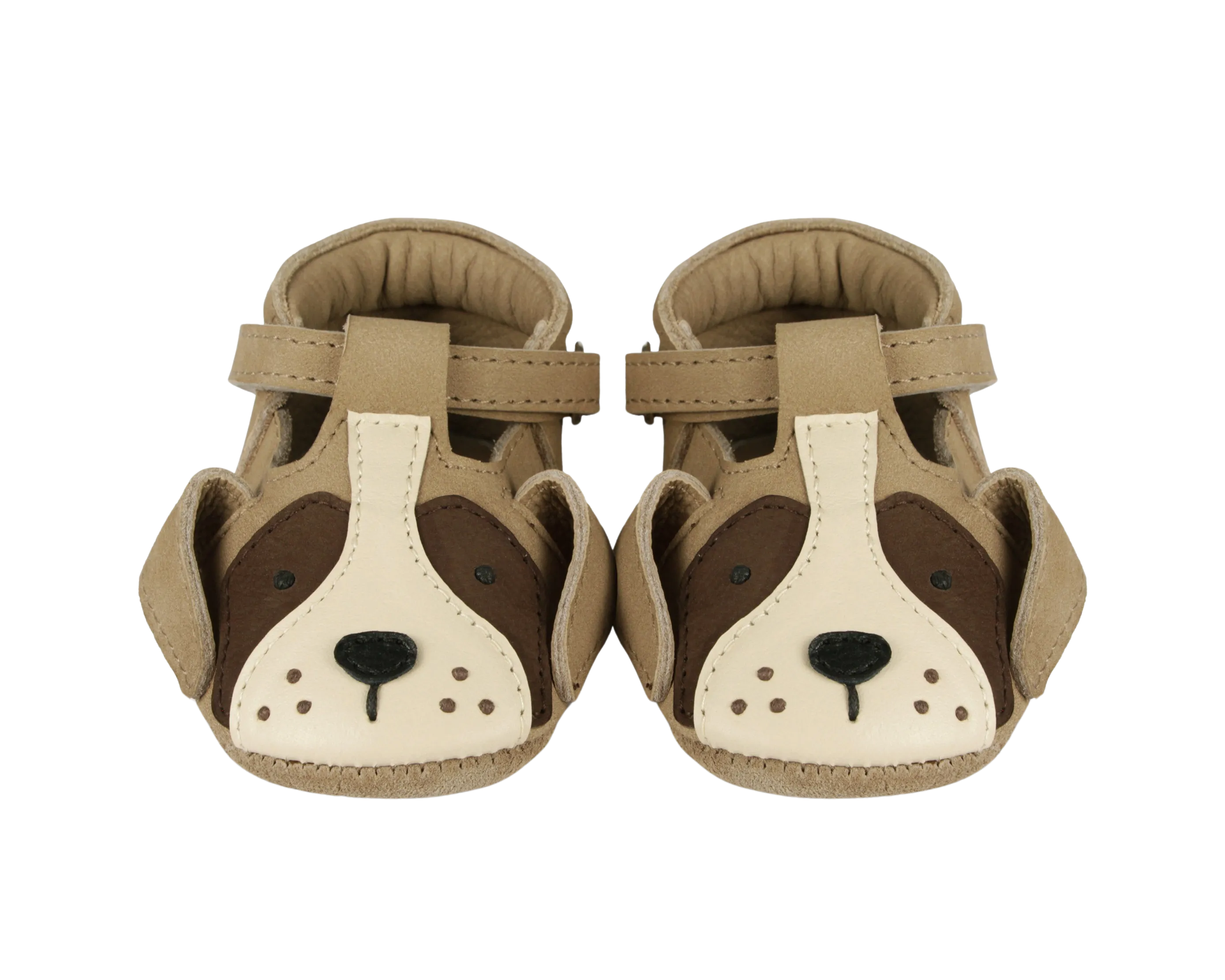 Spark Special| Saint Bernard