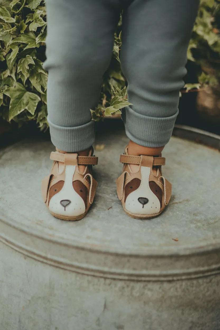 Spark Special| Saint Bernard