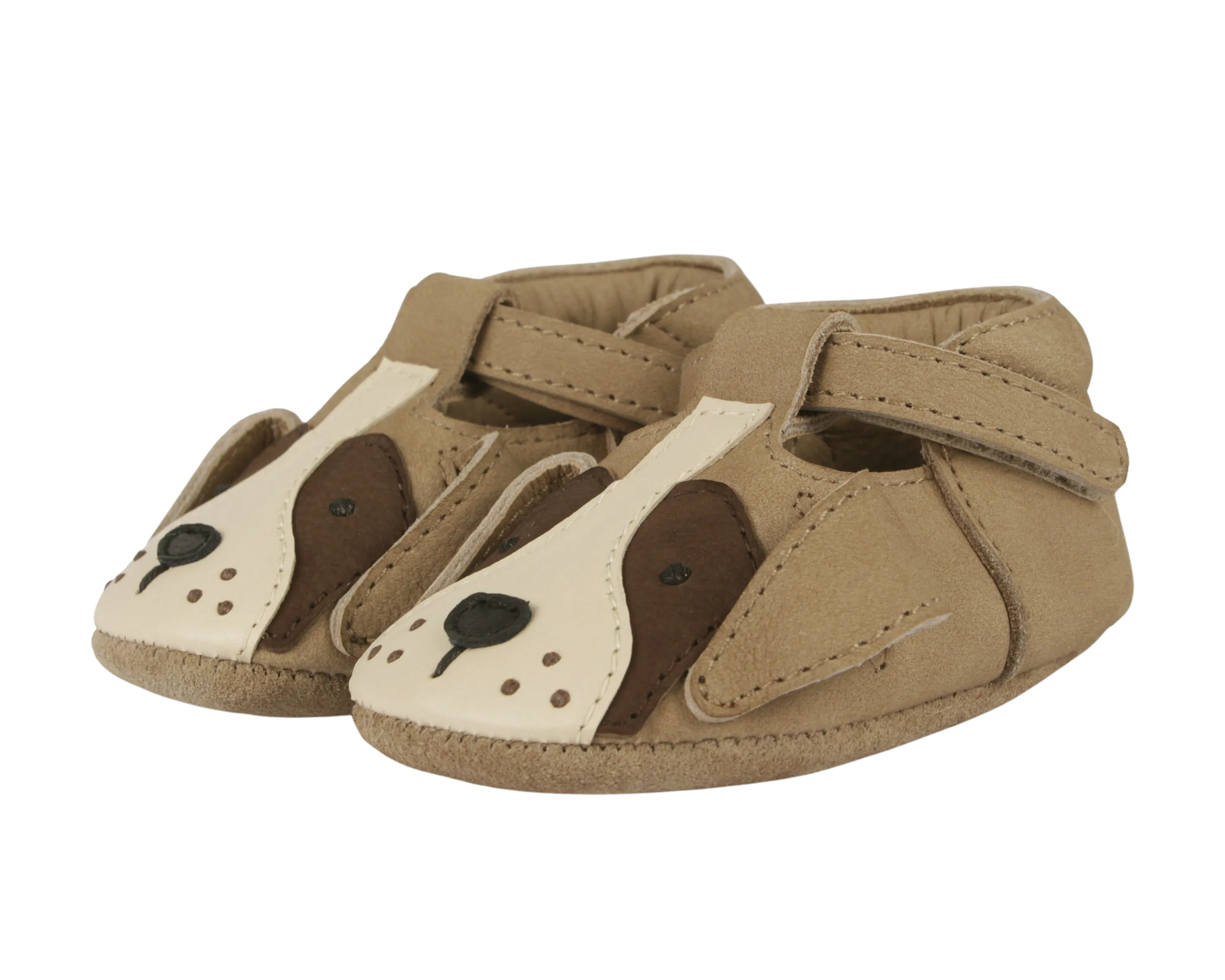Spark Special| Saint Bernard