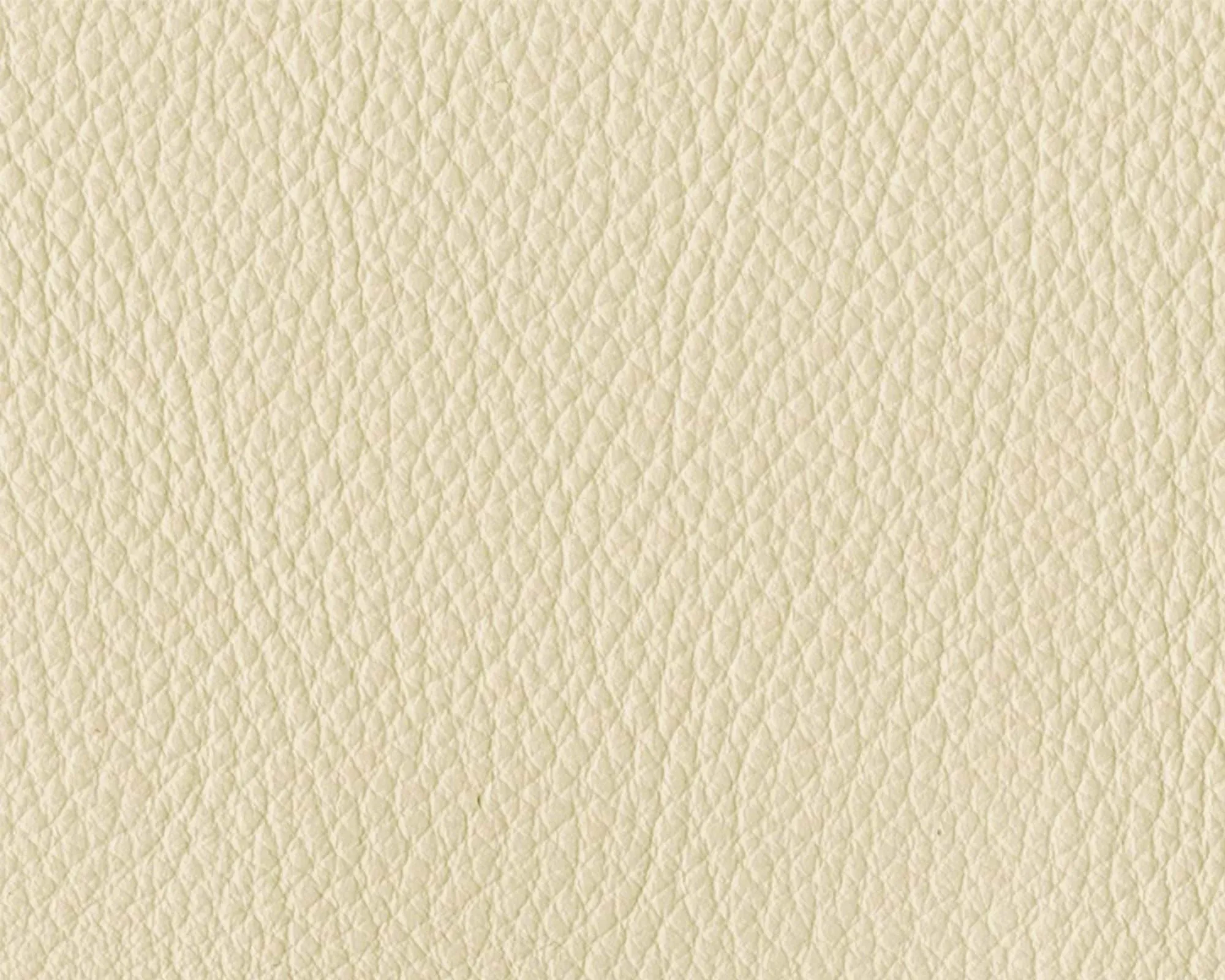 Thor Leather - 300