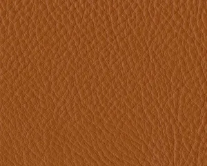 Thor Leather - 307