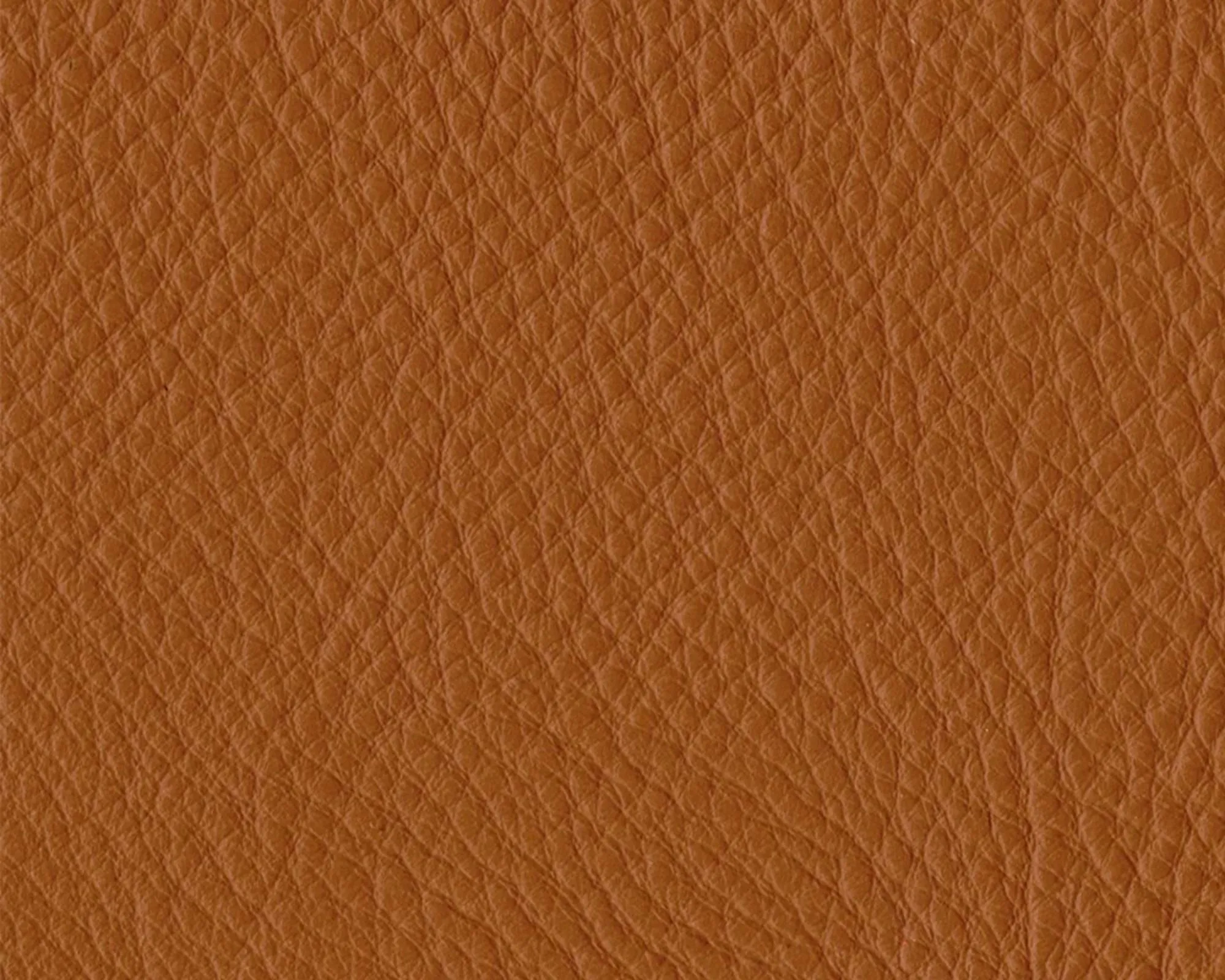 Thor Leather - 307