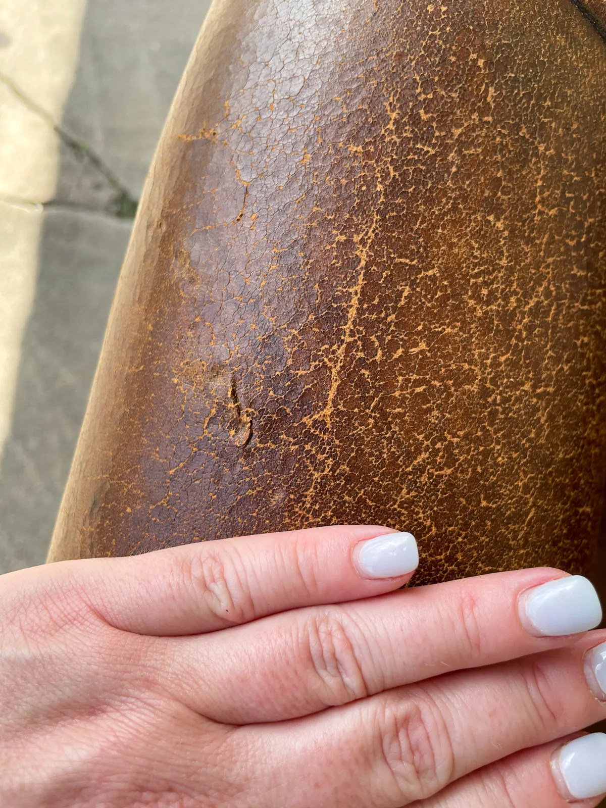 Vintage European Leather Tub Chair with Brass Nailhead Detail