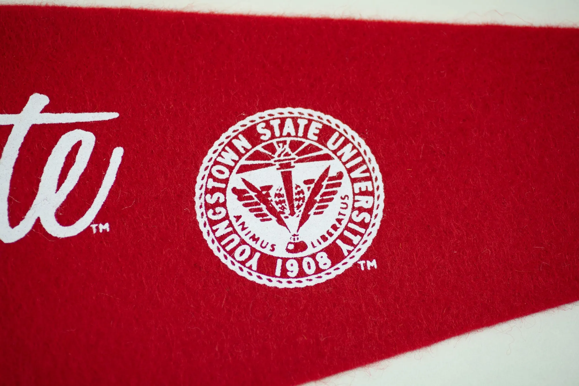 Youngstown State Vintage Penguins Logo Pennant